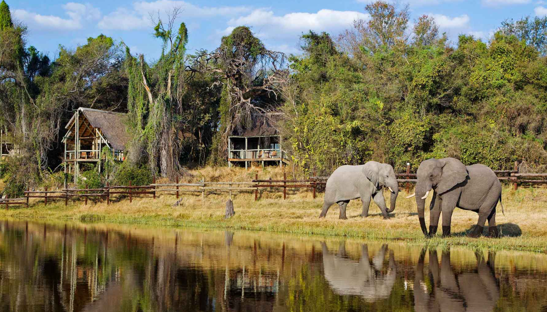 Savuti Channel, Chobe National Park, Botswana